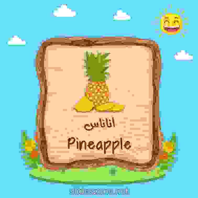 صورة تعليمية فلاش