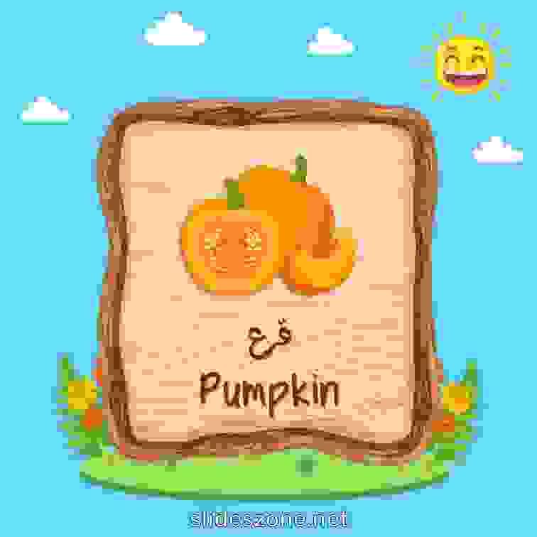 صورة تعليمية فلاش