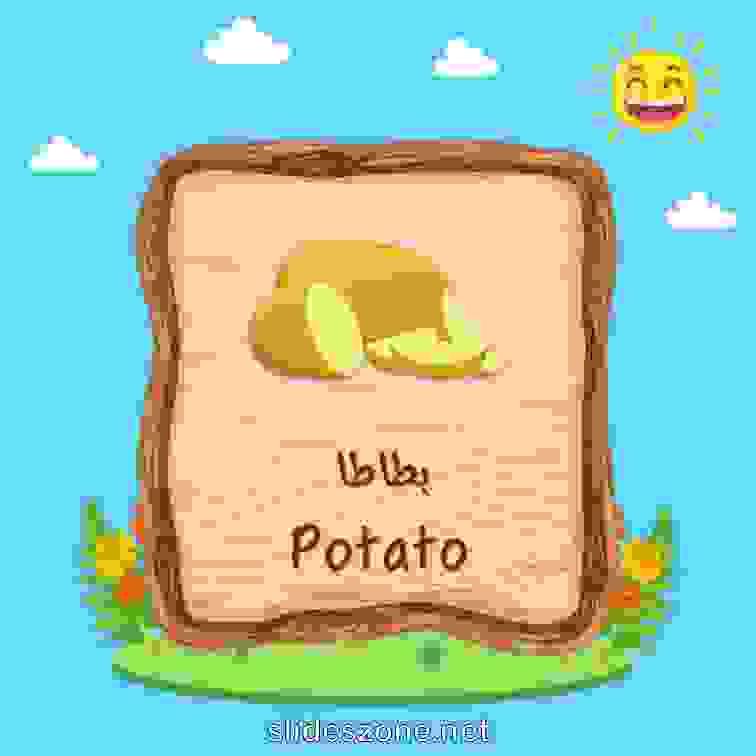 صورة تعليمية فلاش