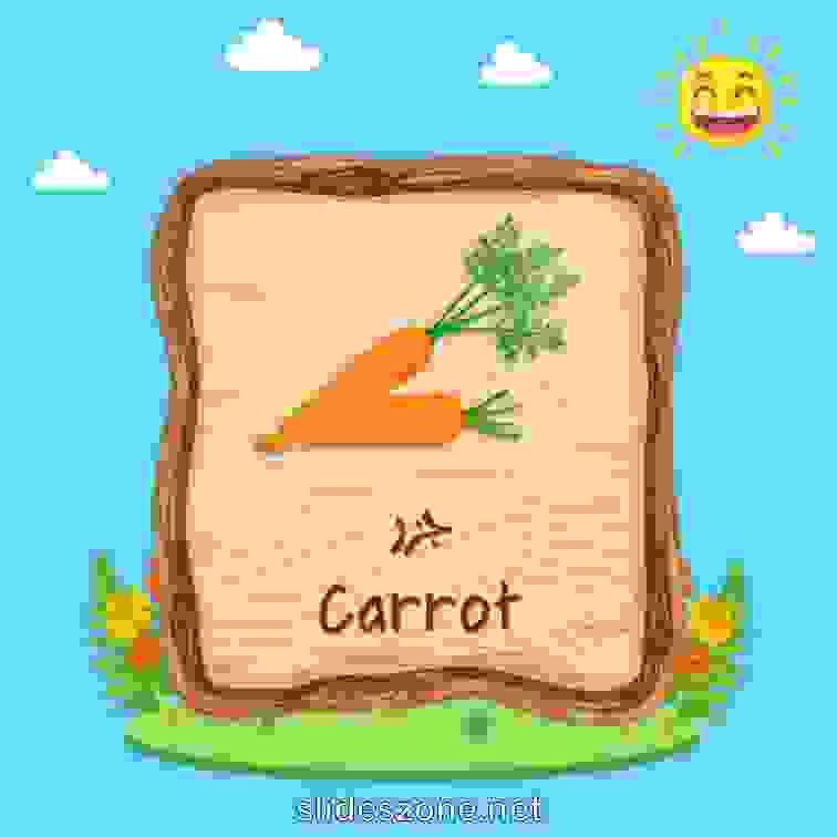صورة تعليمية فلاش