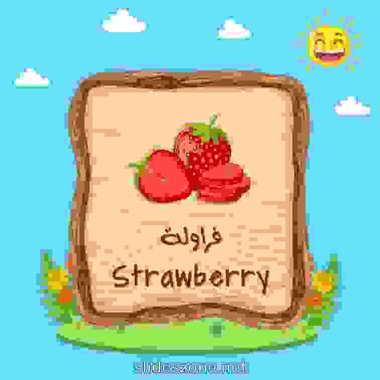 صورة تعليمية فلاش