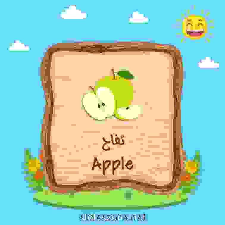 صورة تعليمية فلاش
