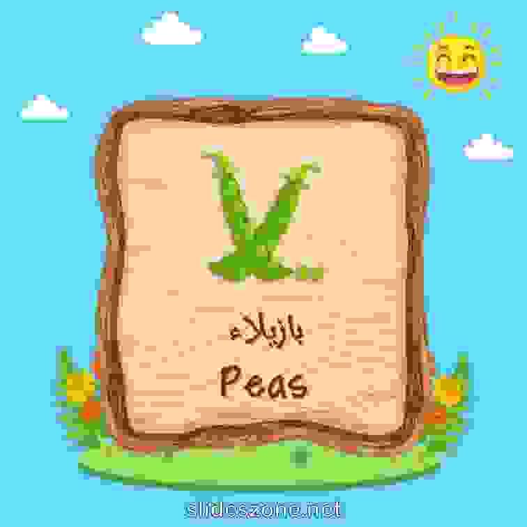 صورة تعليمية فلاش