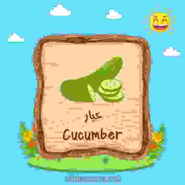 صورة تعليمية فلاش