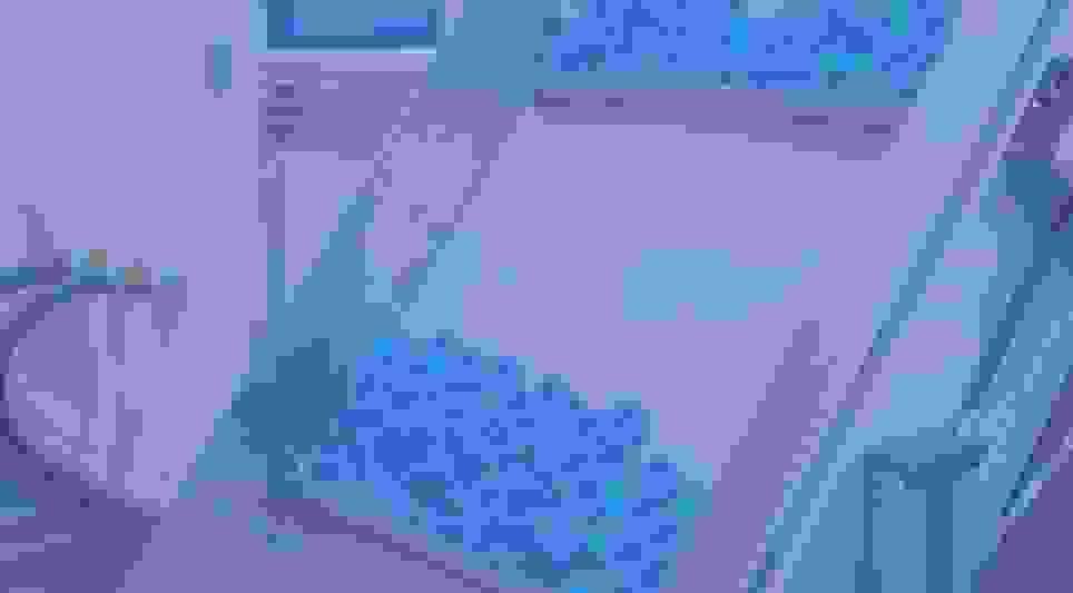 broken image