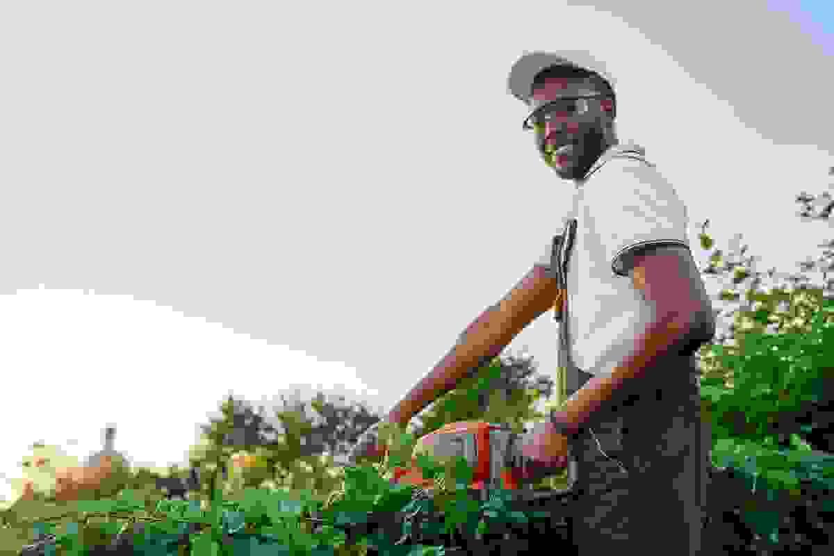 broken image