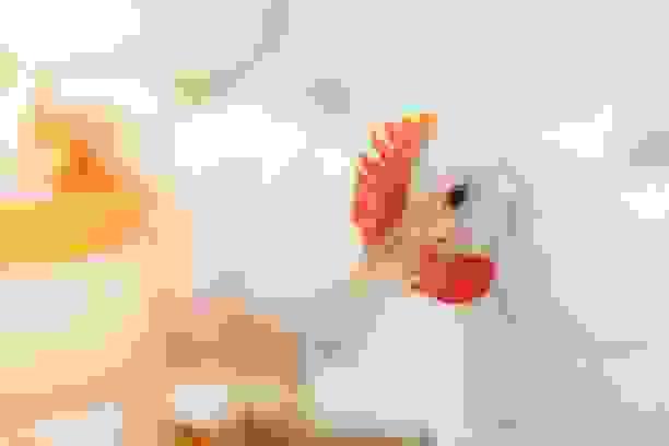 broken image
