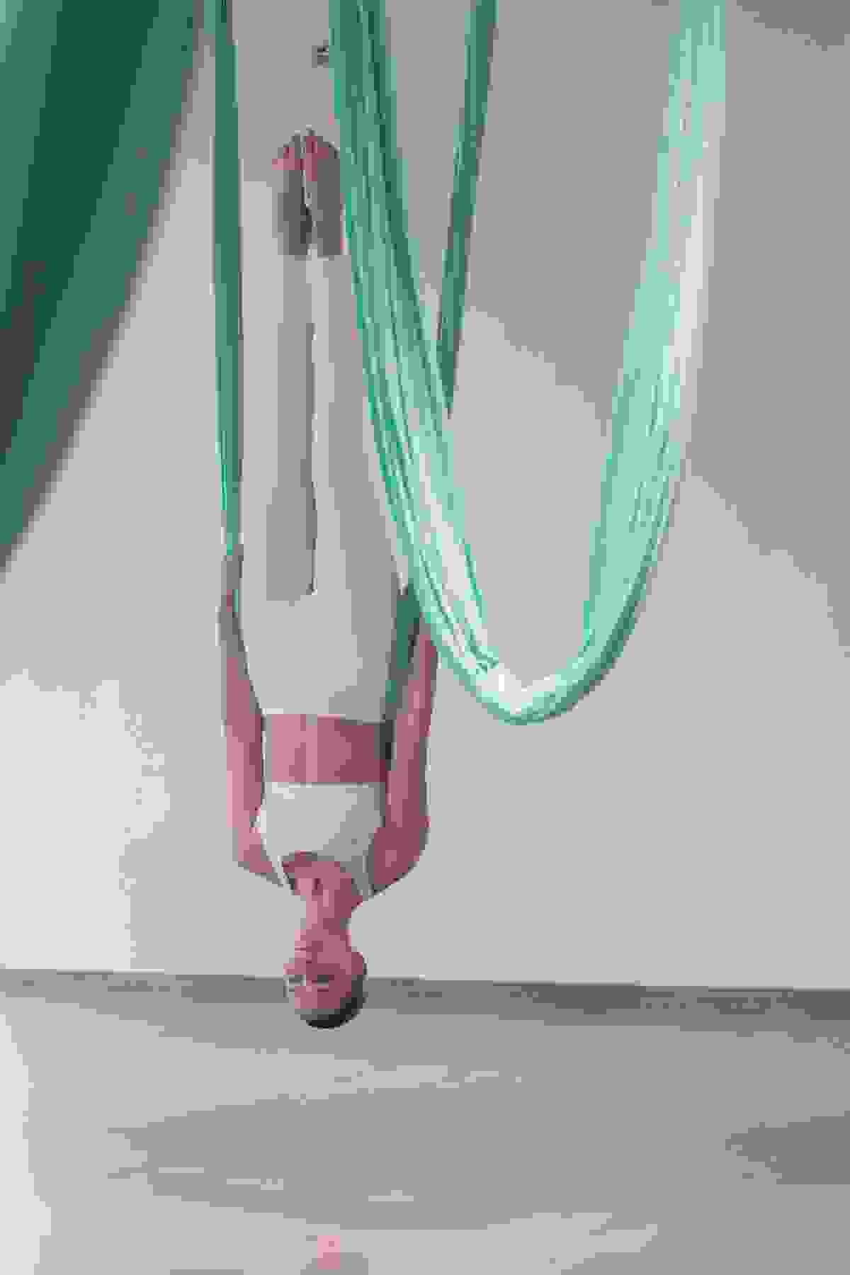 Section image