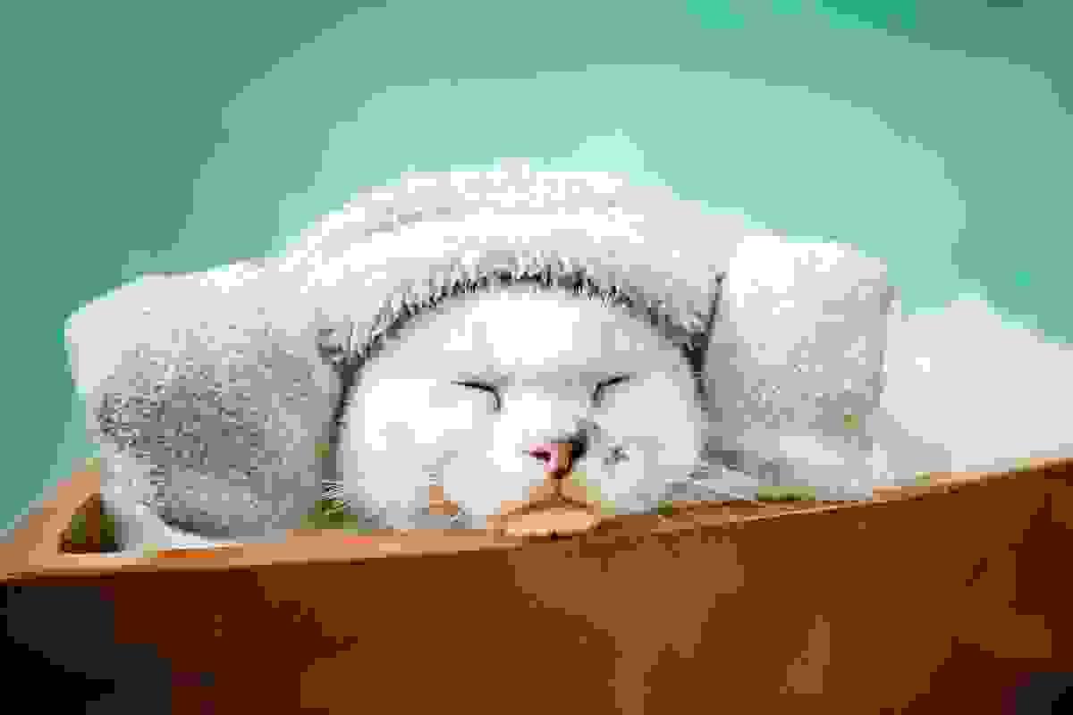 broken image