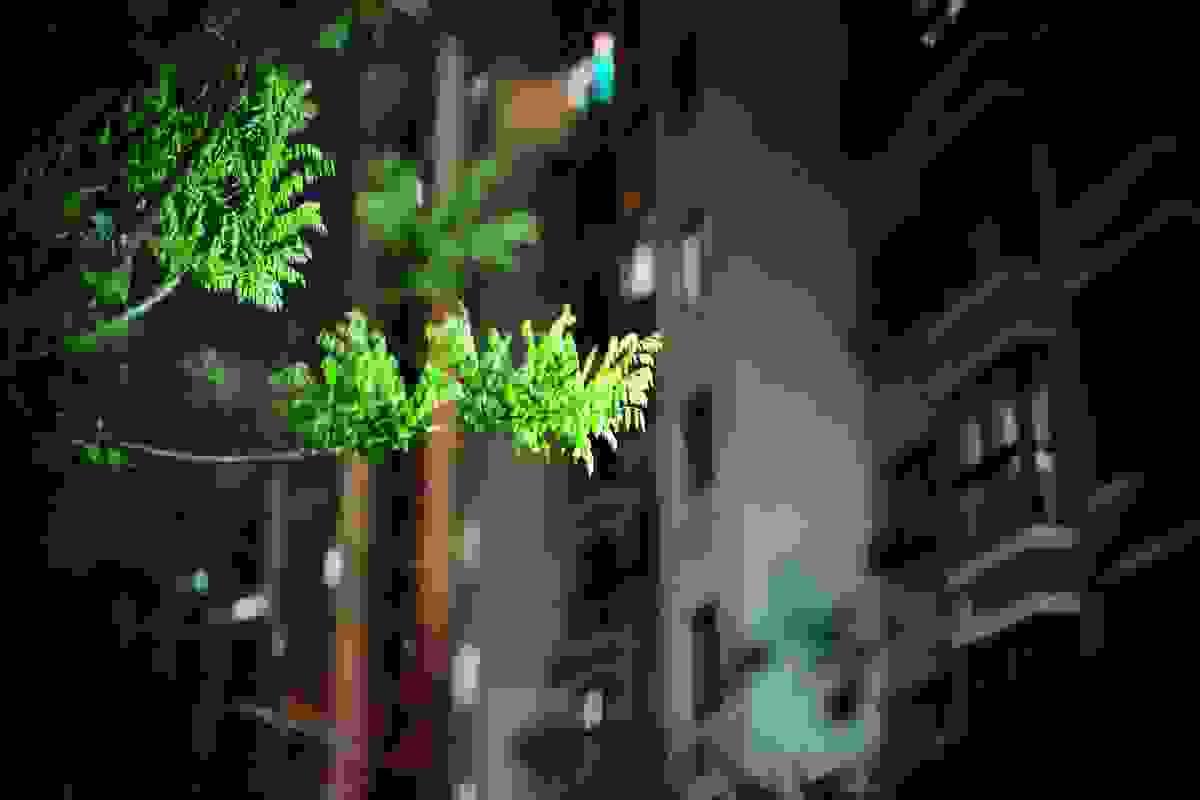 broken image