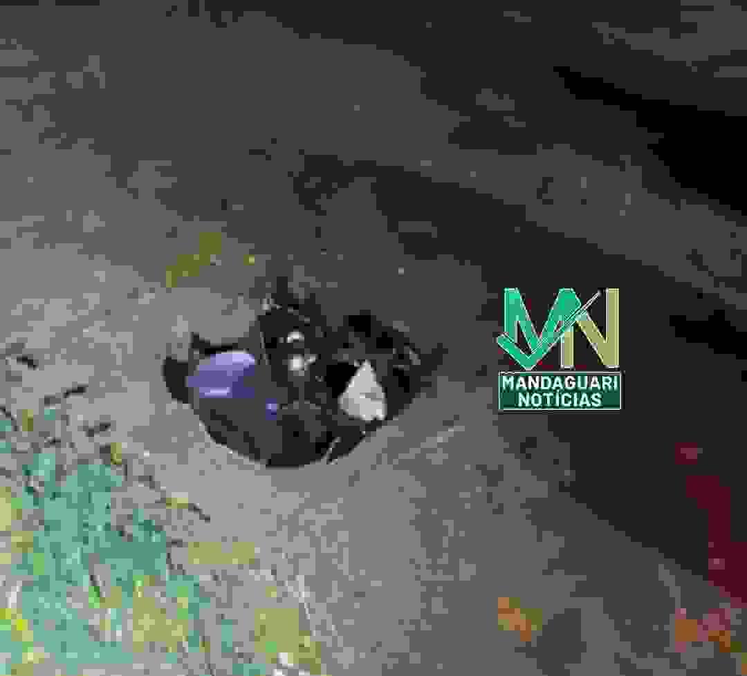 Section image