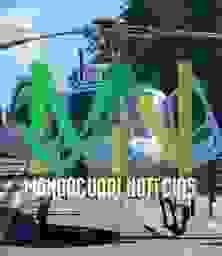 broken image