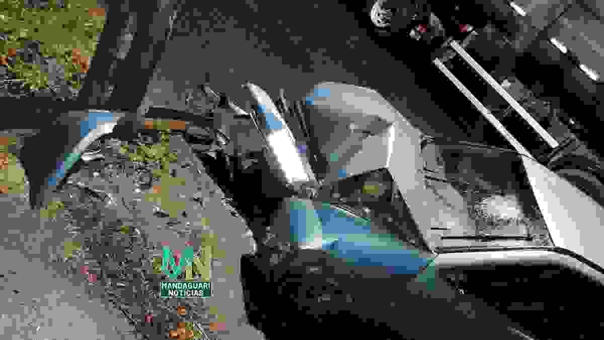 Section image