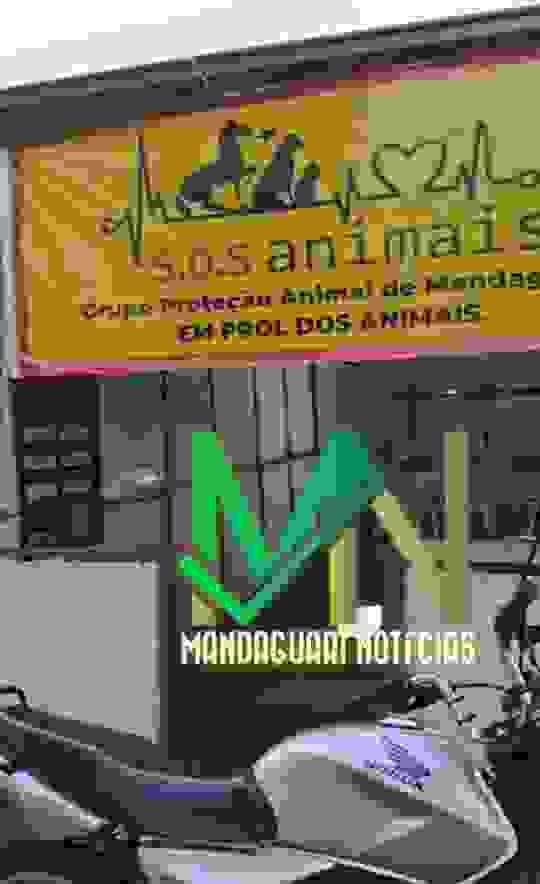 broken image