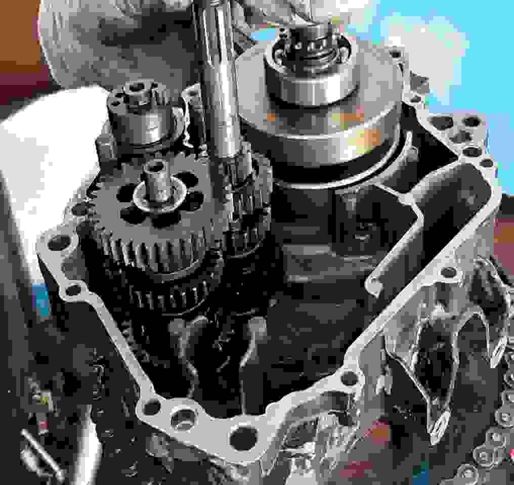 Section image