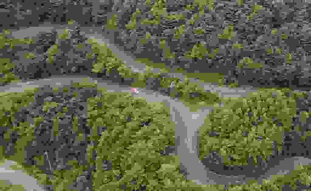 Section image