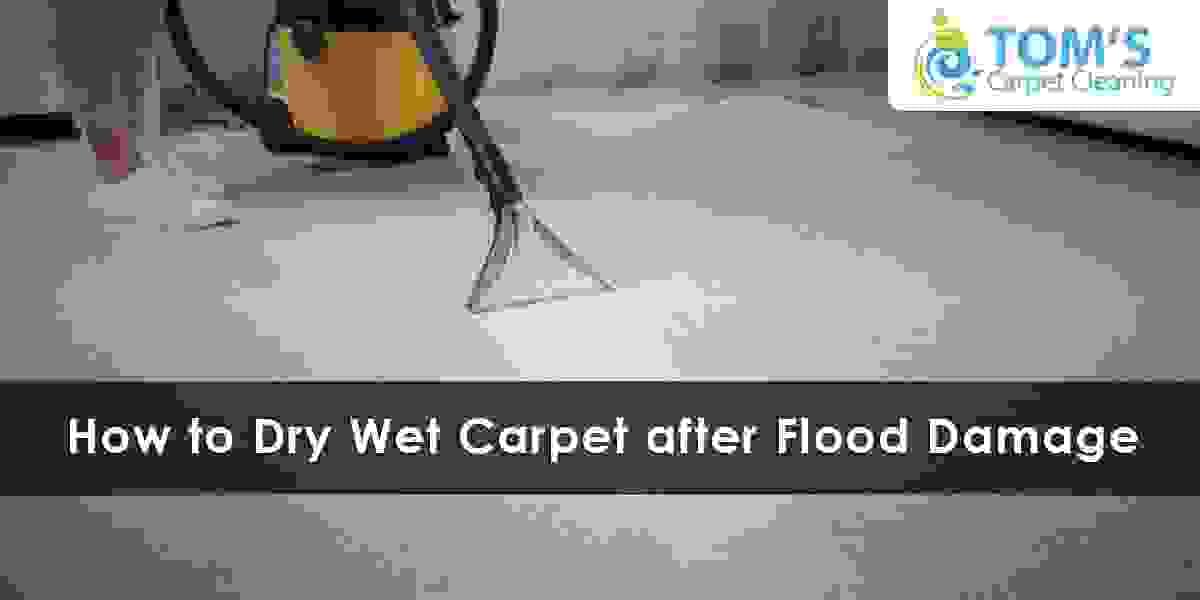 How to Dry Wet Carpet after Flood Damage