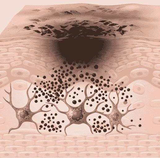 Section image