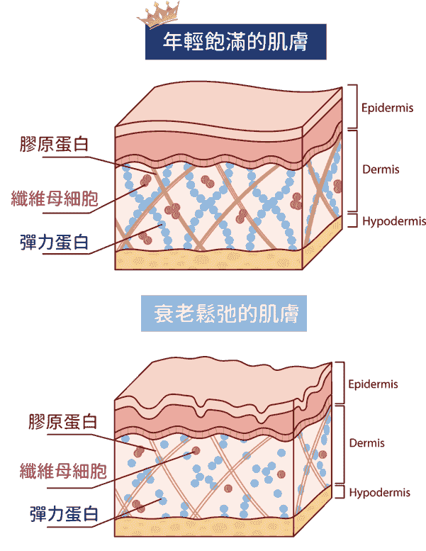 Professional medical beauty, show confidence's beauty Please create a one-page official website for a Hong Kong medical beauty brand.
Brand Name: Dr.Afterhour
Brand Subtitle: Afternoon Care Center
Brand Type: Medical Beauty Center
Website Language: Mainly Traditional Chinese, treatment names can be kept in English.
Target Audience: Women in Hong Kong aged 25–50 who focus on anti-aging, contour enhancement, skin quality improvement, and body management.
Please establish the following sections:
1. Hero Banner
2. About Brand Introduction
3. Treatments Categories
4. Featured Treatments
5. Why Choose Us
6. Consultation CTA
7. Contact Us
Main website goal:
Build a high-end medical aesthetic brand image, clearly display treatment categories, and guide customers to WhatsApp for inquiries and appointment assessments. Professional medical beauty, show confidence's beauty Please create a one-page official website for a Hong Kong medical beauty brand.
Brand Name: Dr.Afterhour
Brand Subtitle: Afternoon Care Center
Brand Type: Medical Beauty Center
Website Language: Mainly Traditional Chinese, treatment names can be kept in English.
Target Audience: Women in Hong Kong aged 25–50 who focus on anti-aging, contour enhancement, skin quality improvement, and body management.
Please establish the following sections:
1. Hero Banner
2. About Brand Introduction
3. Treatments Categories
4. Featured Treatments
5. Why Choose Us
6. Consultation CTA
7. Contact Us
Main website goal:
Build a high-end medical aesthetic brand image, clearly display treatment categories, and guide customers to WhatsApp for inquiries and appointment assessments.