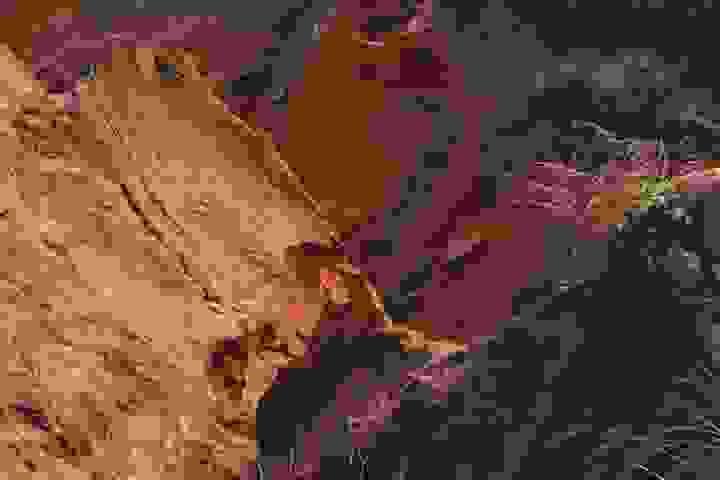 Section image