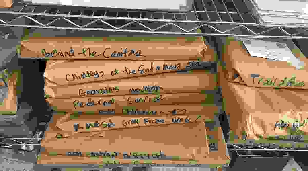 Section image