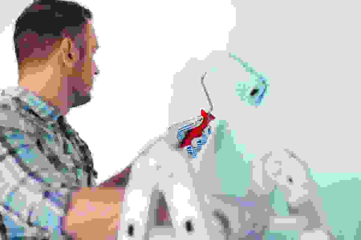 broken image