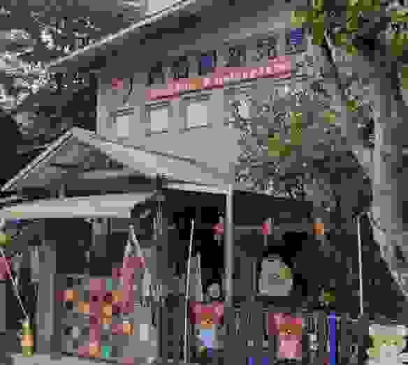 Section image