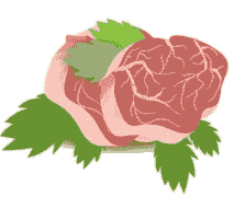 broken image