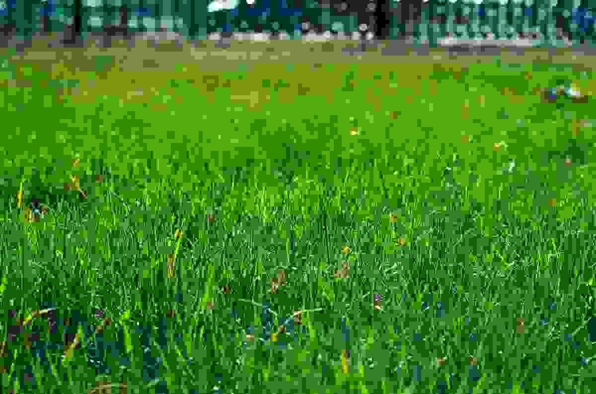 broken image