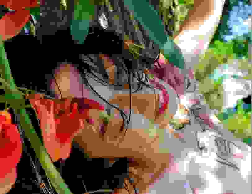 broken image