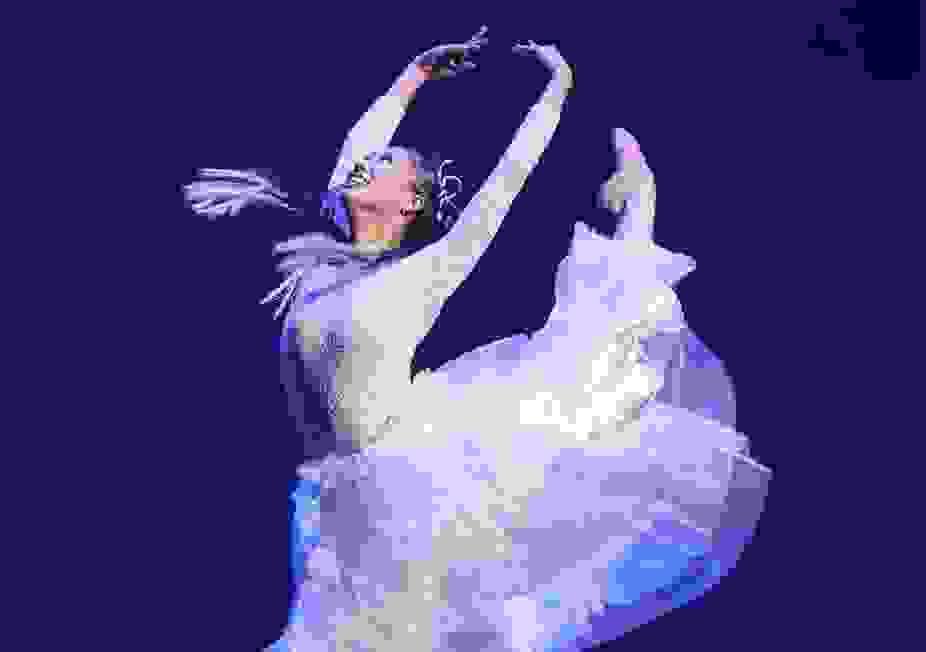broken image
