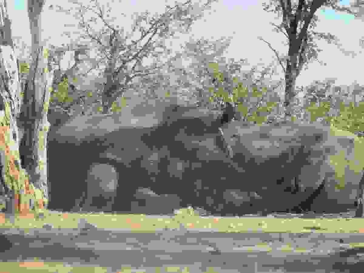 Section image