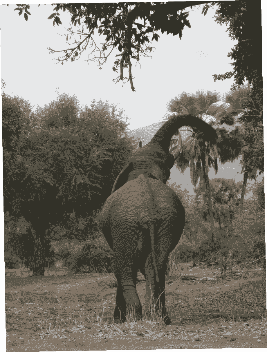 Join our packaged day tours to iconic attractions like Victoria Falls and Mosi-o-Tunya National Park for an unforgettable adventure. Day Tours What We Offer Mangoli Travel and Tours is a Livingstone‑based operator specializing in professional airport and hotel transfers as well as packaged day tours across iconic local attractions like Victoria Falls, Maramba Cultural Village, Mukuni Village, Livingstone Museum, and Mosi‑o‑Tunya National Park and other national parks in Zambia. We also go beyond Zambia.