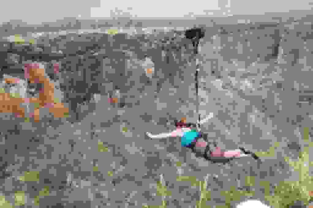 Section image