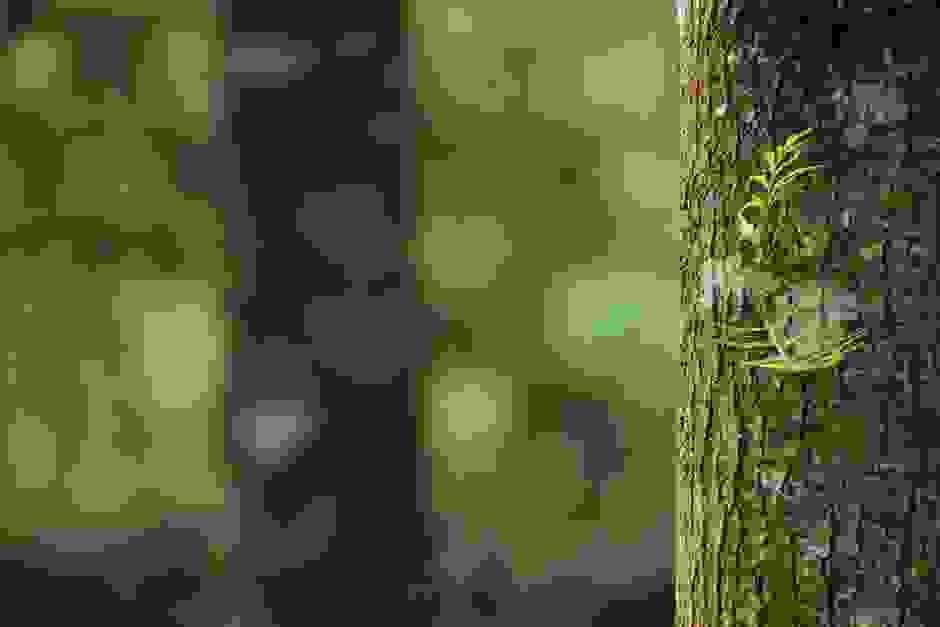 broken image