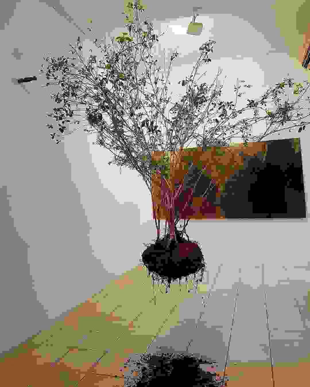 broken image