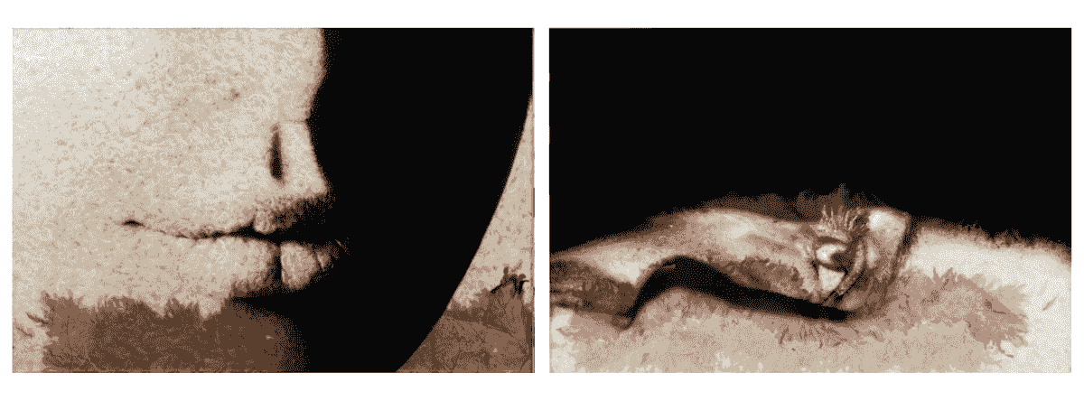 Section image