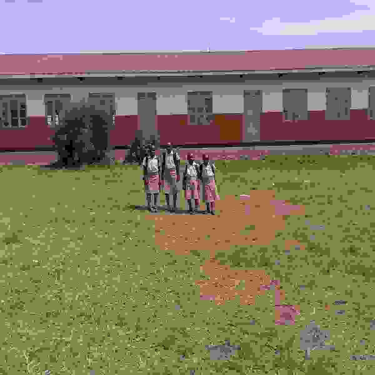 Section image