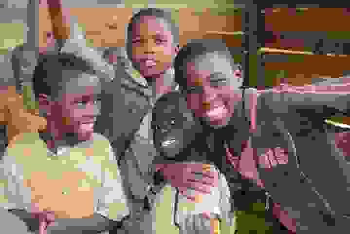 — Sarah Okwir “The hygiene facilities provided by Salex Developers have transformed our school environment, making it a safe place for all girls.” Empowering Over 1,000 Young Women with Menstrual Health Solutions We are providing Menstrual health solutions ie. reusable pads ,contracting hygiene facilitieces for female students in Uganda who miss school regularly due to lack of Menstrual Hygiene materials, inadequate water, sanitation and Hygiene facilities. — Sarah Okwir “The hygiene facilities provided by Salex Developers have transformed our school environment, making it a safe place for all girls.” Empowering Over 1,000 Young Women with Menstrual Health Solutions We are providing Menstrual health solutions ie. reusable pads ,contracting hygiene facilitieces for female students in Uganda who miss school regularly due to lack of Menstrual Hygiene materials, inadequate water, sanitation and Hygiene facilities.