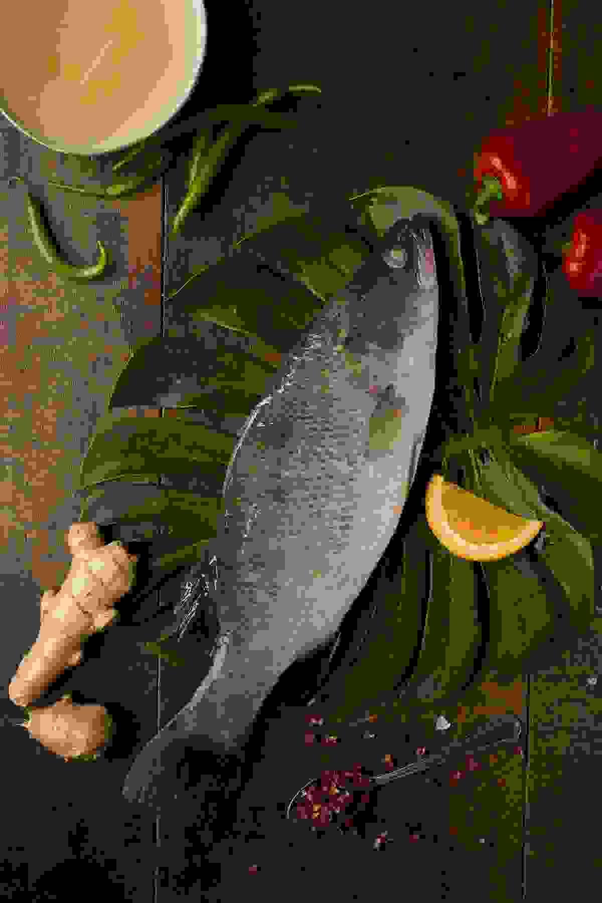 Section image