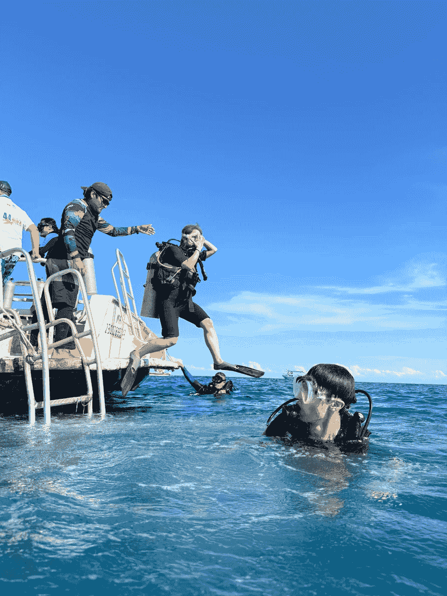 Japanese staff are stationed, and you can use it with peace of mind without worrying about the language barrier. Support in Japanese Our company's service This is a diving service run by Japanese people located in Cancun, a resort area in Mexico. Japanese staff are stationed, and you can use it with peace of mind without worrying about the language barrier. Support in Japanese Our company's service This is a diving service run by Japanese people located in Cancun, a resort area in Mexico.