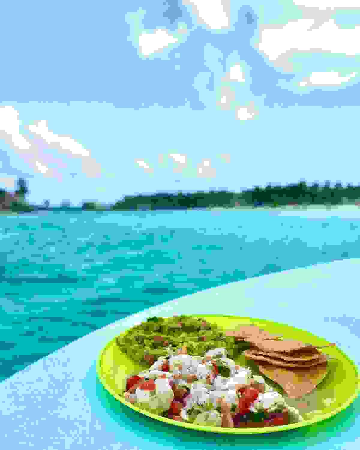 From beginners to advanced users, we have various diving plans available. You can choose the best plan to explore the beautiful underwater world. enriched diving plan Our company's service This is a diving service run by Japanese people located in Cancun, a resort area in Mexico. From beginners to advanced users, we have various diving plans available. You can choose the best plan to explore the beautiful underwater world. enriched diving plan Our company's service This is a diving service run by Japanese people located in Cancun, a resort area in Mexico.
