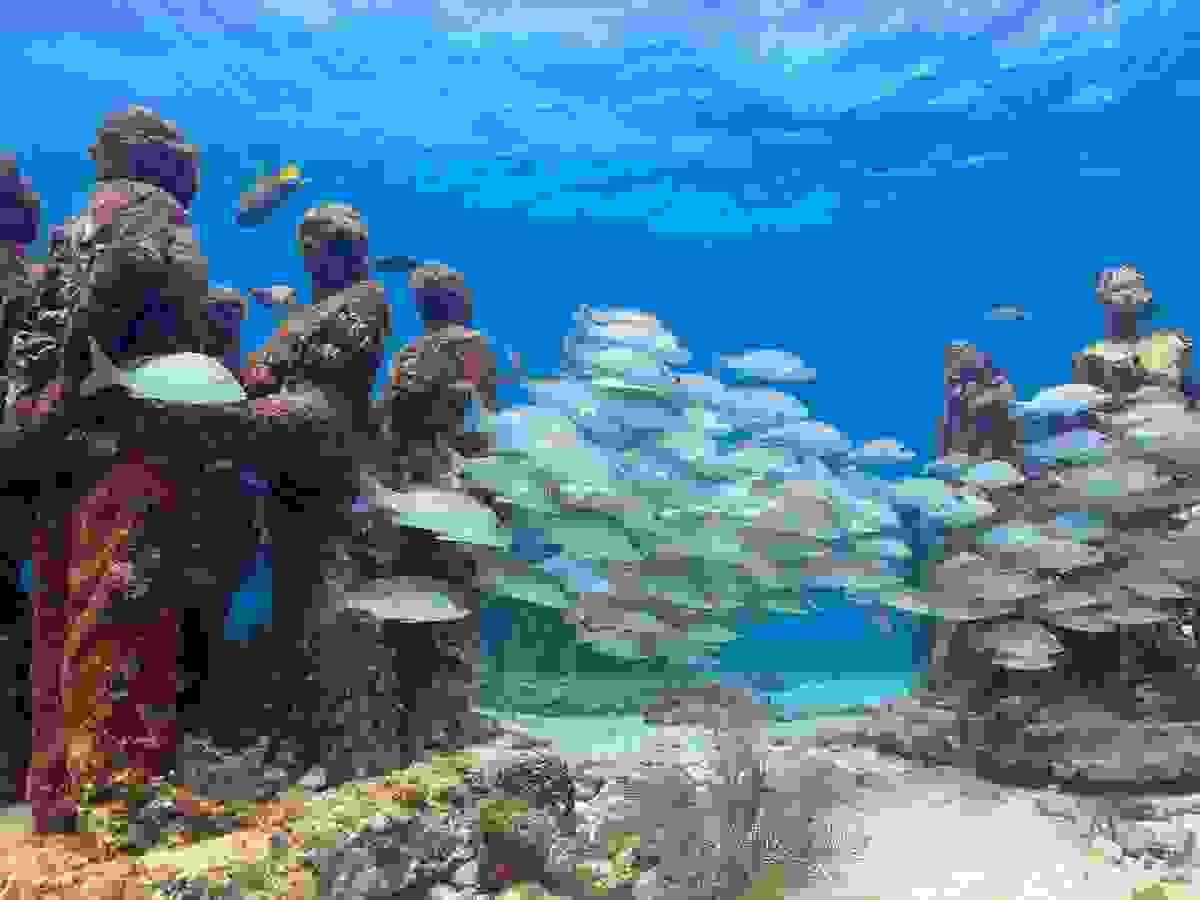 Section image