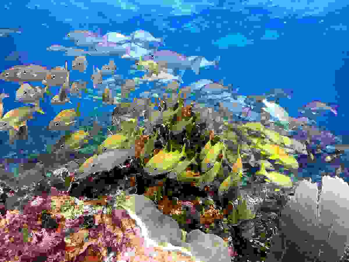Section image