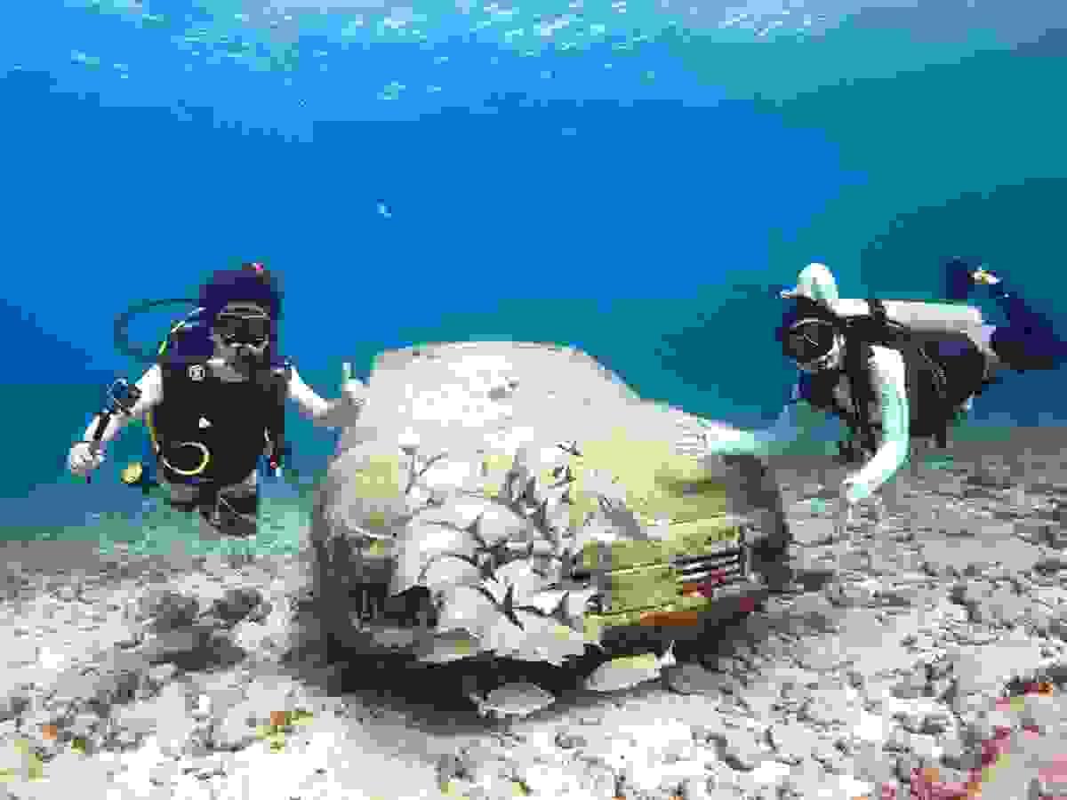 In our service, we always prioritize safety, and experienced instructors will provide solid support. Using the latest equipment, you can enjoy diving with peace of mind. safety emphasis Our company's service This is a diving service operated by Japanese people located in Cancun, a resort area in Mexico. In our service, we always prioritize safety, and experienced instructors will provide solid support. Using the latest equipment, you can enjoy diving with peace of mind. safety emphasis Our company's service This is a diving service operated by Japanese people located in Cancun, a resort area in Mexico.