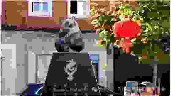 broken image