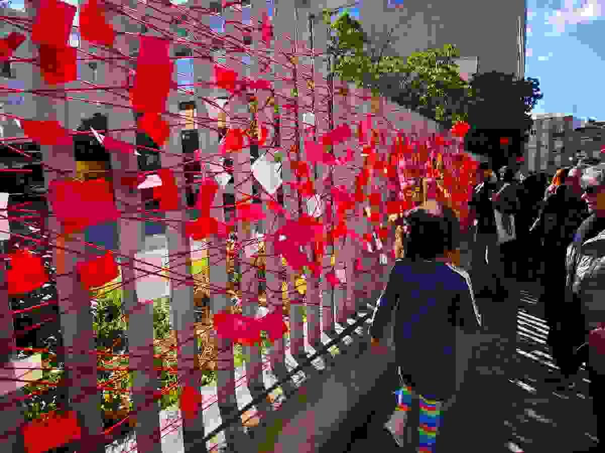 broken image