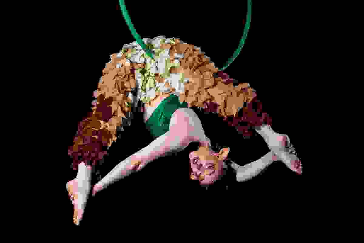 broken image