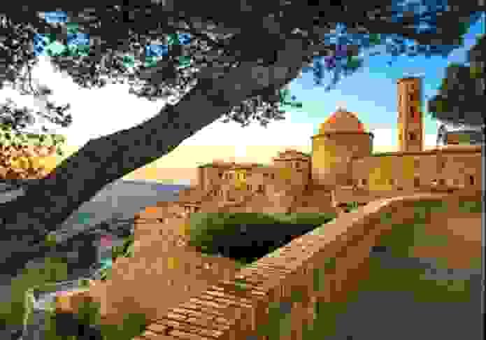 Section image