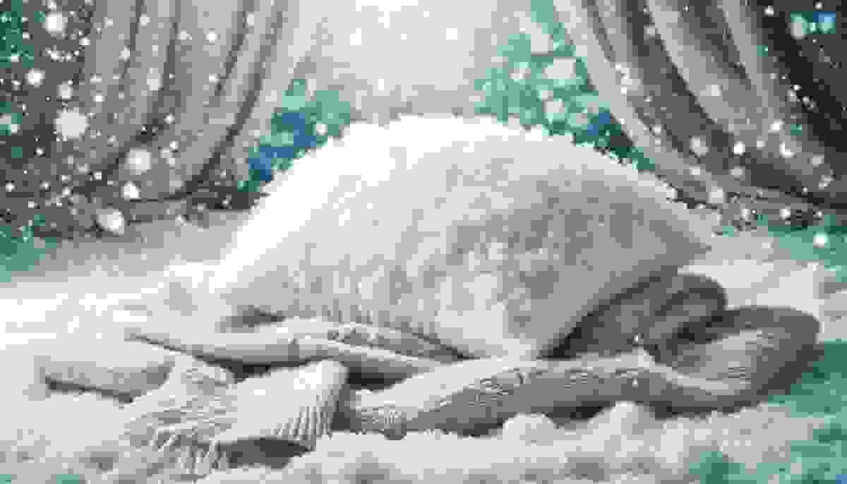 broken image